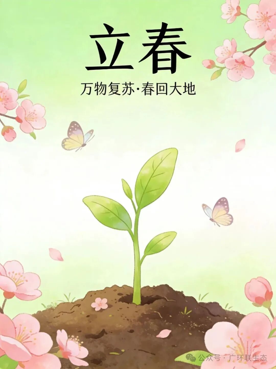 微信图片_2026-02-04_114304_699.jpg
