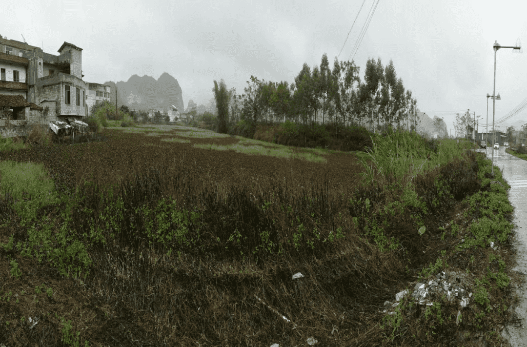图1_new.png